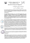 Vista preliminar de documento Resolucion Directoral Regional 0063-2023