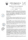 Vista preliminar de documento Resolucion Directoral Regional 0081-2023