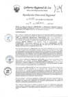 Vista preliminar de documento Resolucion Directoral Regional 0088-2023