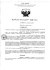 Vista preliminar de documento RD- 1028