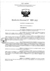 Vista preliminar de documento RD- 1031