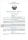 Vista preliminar de documento RD- 1037