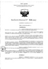 Vista preliminar de documento RD- 1038