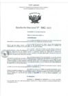 Vista preliminar de documento RD- 1042