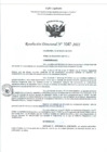 Vista preliminar de documento RD- 1047