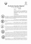 Vista preliminar de documento RER 243