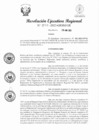 Vista preliminar de documento RER 247