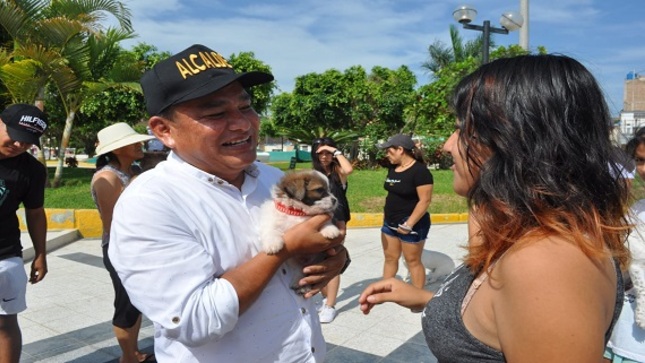 Imagen de la campaña de vacunación canina