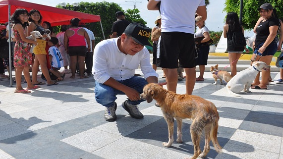 Imagen de la campaña de vacunación canina