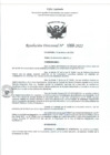 Vista preliminar de documento RD- 1068