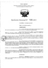 Vista preliminar de documento RD- 1069