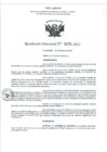 Vista preliminar de documento RD- 1079