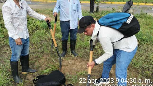 Municipalidad De Sullana Realiza Campaña De Limpieza Y Reforestación En El Marco Del Día Mundial De La Tierra.