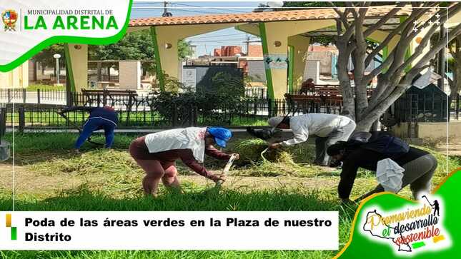 Poda de áreas verdes