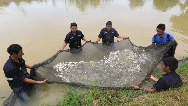 Produce: Más de 52 000 peruanos apostaron por la innovación en Pesca y Acuicultura