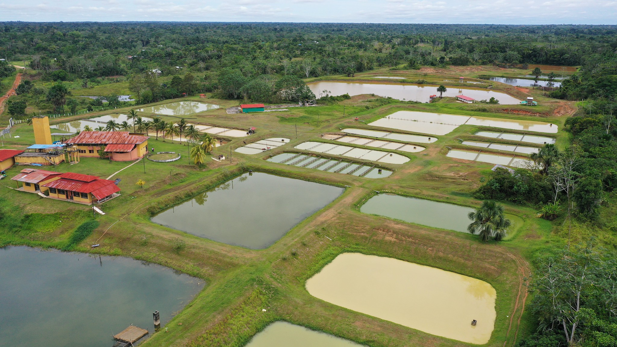 Produce: Más de 52 000 peruanos apostaron por la innovación en Pesca y Acuicultura