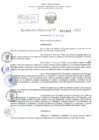 Vista preliminar de documento Resolución Directoral. Nº 1500 - 2023 