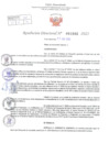 Vista preliminar de documento Resolución Directoral. Nº 1502 - 2023 