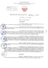 Vista preliminar de documento Resolución Directoral. Nº 1511 - 2023