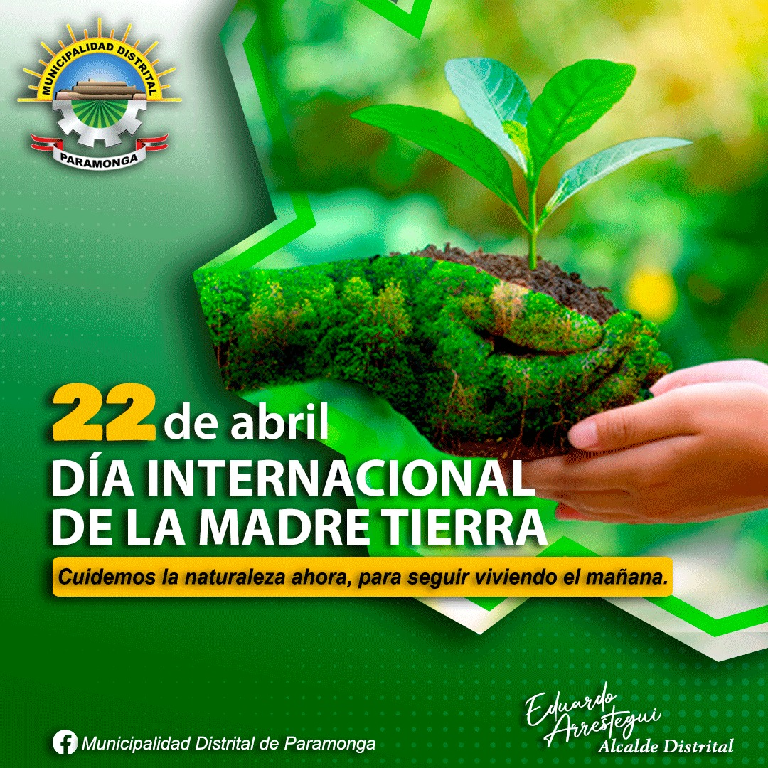 imagen1