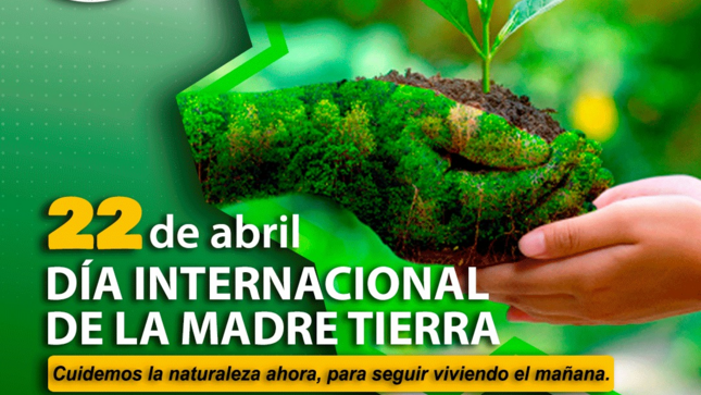 imagen1