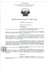 Vista preliminar de documento RD- 1139