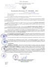 Vista preliminar de documento Resolución Directoral. Nº 1638 - 2023 