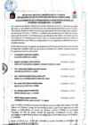 Vista preliminar de documento ACTA DE PRESENTACIÓN Y APROBACIÓN DEL PLAN DE ACCIÓN DISTRITAL DE SEGURIDAD CIUDADANA 2023- EL CARMEN