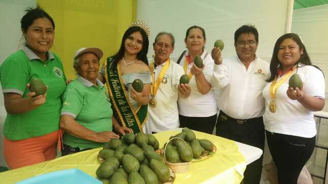 PALTA SANTA EULALIA 1