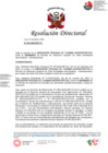 Vista preliminar de documento RD N° 0219-2023-MTC/12