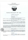Vista preliminar de documento RD- 1211
