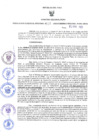 Vista preliminar de documento RES-336-2023-GRDS