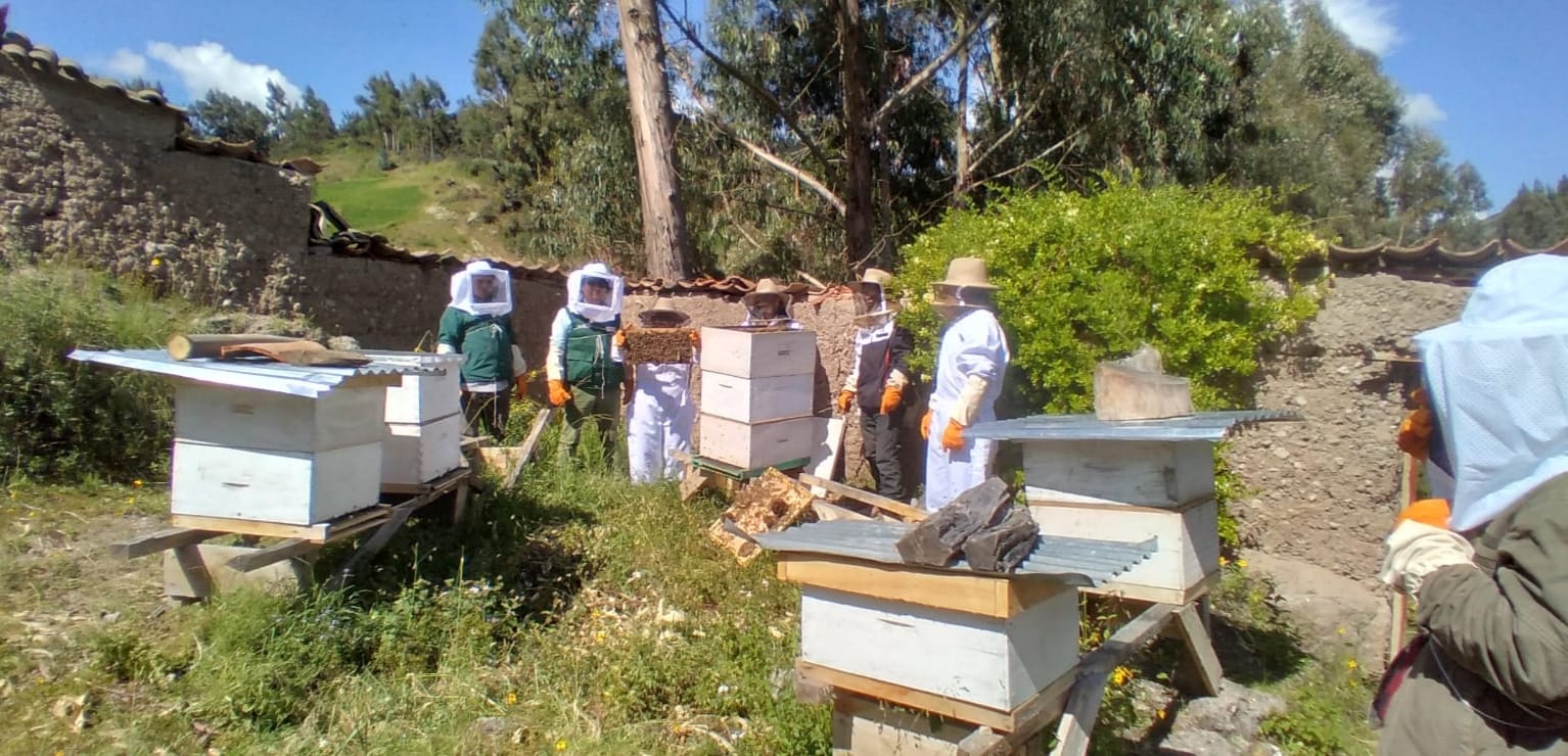 Apicultura Huancavelica