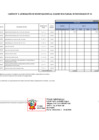 Vista preliminar de documento Anexo 6: Aprobación de modificaciones al cuadro multianual de necesidades N° 32
