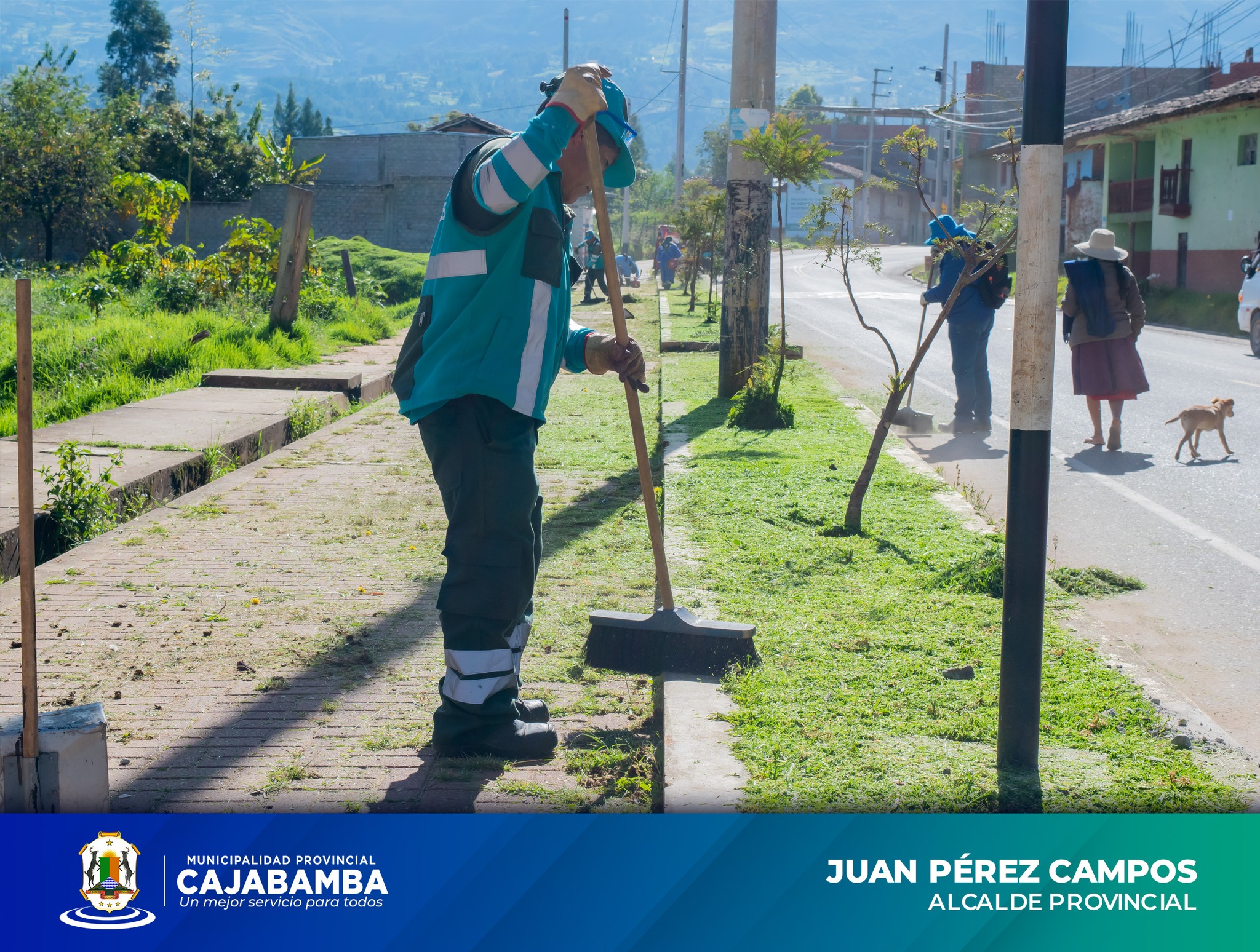 Mantenimiento De Áreas Verdes En Ciclo Vía