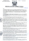 Vista preliminar de documento RD N°039-2023-HMA-DG