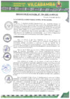 Vista preliminar de documento RA - 108