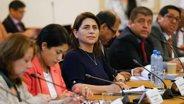 Ministra de Salud sustenta ante el Congreso transferencias realizadas durante el primer trimestre del año  
