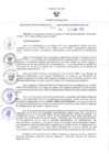 Vista preliminar de documento RER N°456-2023-GR