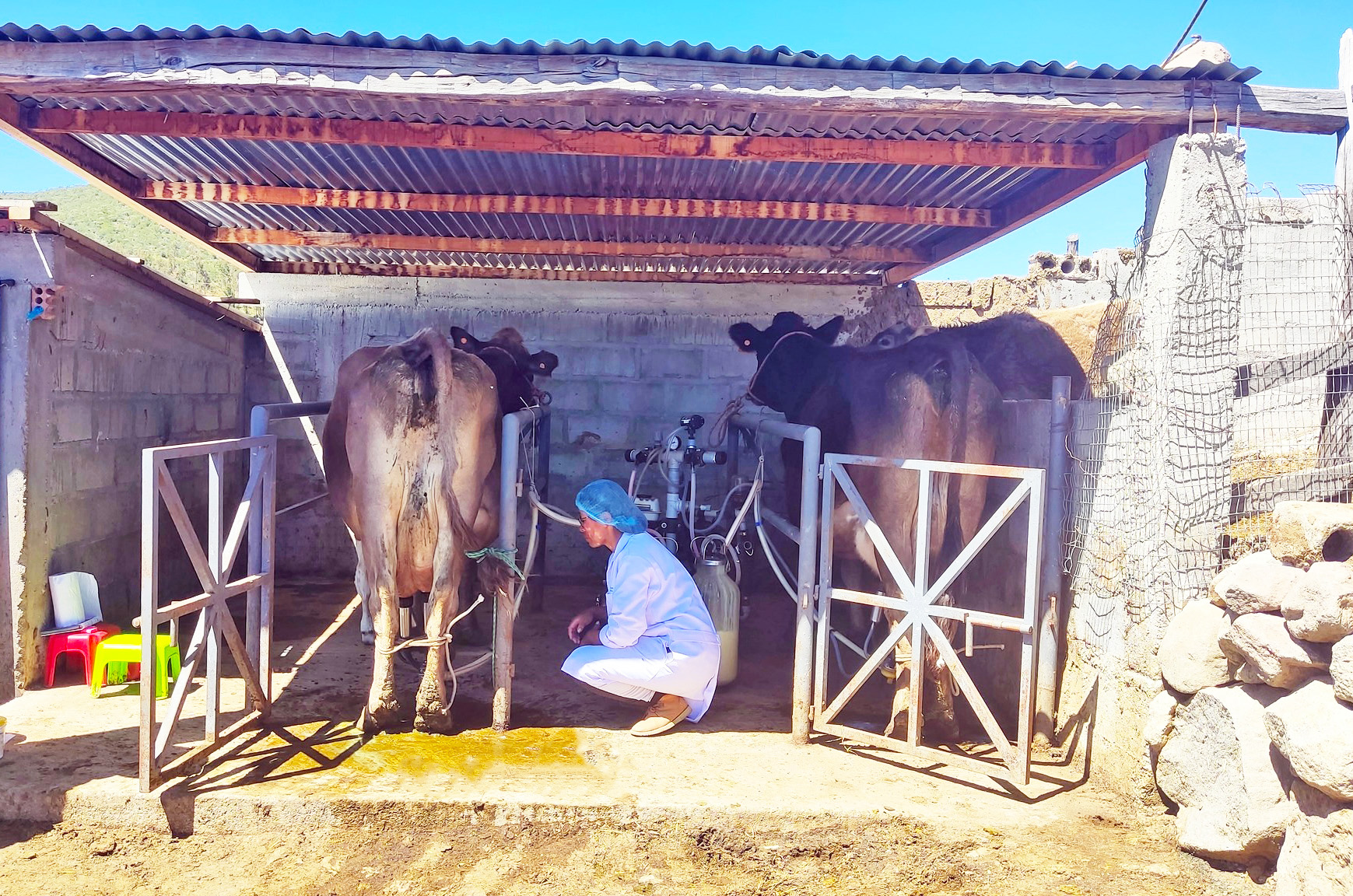 Fotografía