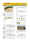 Vista preliminar de documento Boletín de abastecimiento y precio del ARROZ - 02/05/23