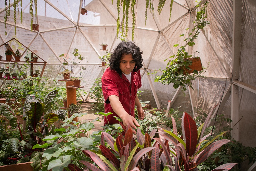 Darwin Diaz en uno de los domos invernaderos en los que se enseña agrotecnia.