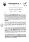 Vista preliminar de documento Resolucion Directoral Regional 0102-2023