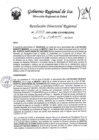 Vista preliminar de documento Resolucion Directoral Regional 0103-2023