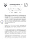 Vista preliminar de documento Resolucion Directoral Regional 0135-2023