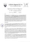Vista preliminar de documento Resolucion Directoral Regional 0141-2023