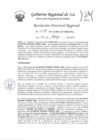 Vista preliminar de documento Resolucion Directoral Regional 0178-2023