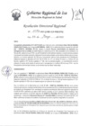 Vista preliminar de documento Resolucion Directoral Regional 0176-2023