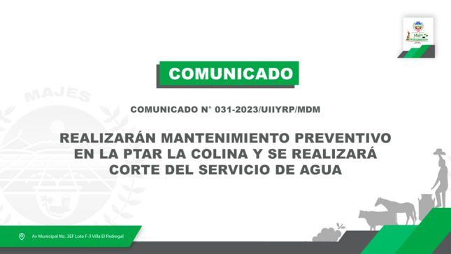 comunicado 31