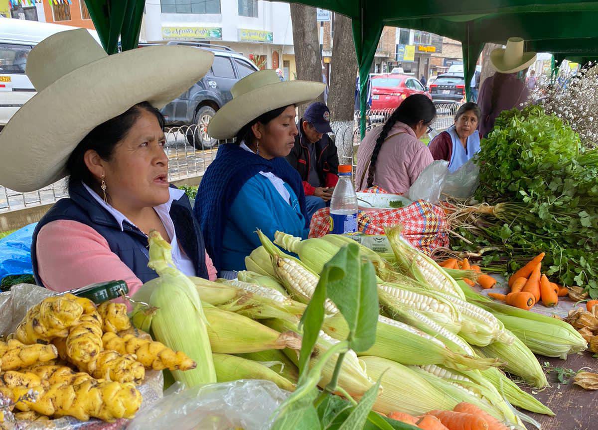 De la Chacra a la Olla - Regiones